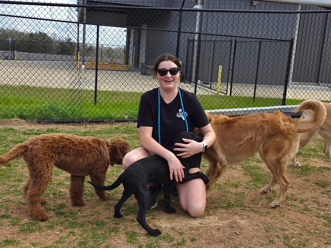 Person enjoying time with three dogs