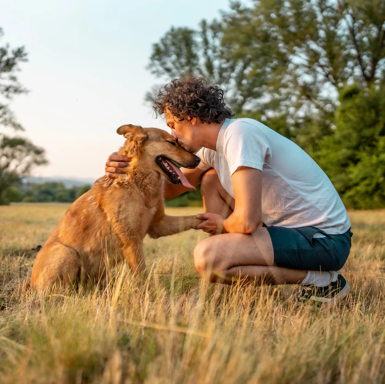 Person bonding with brown dog outdoors